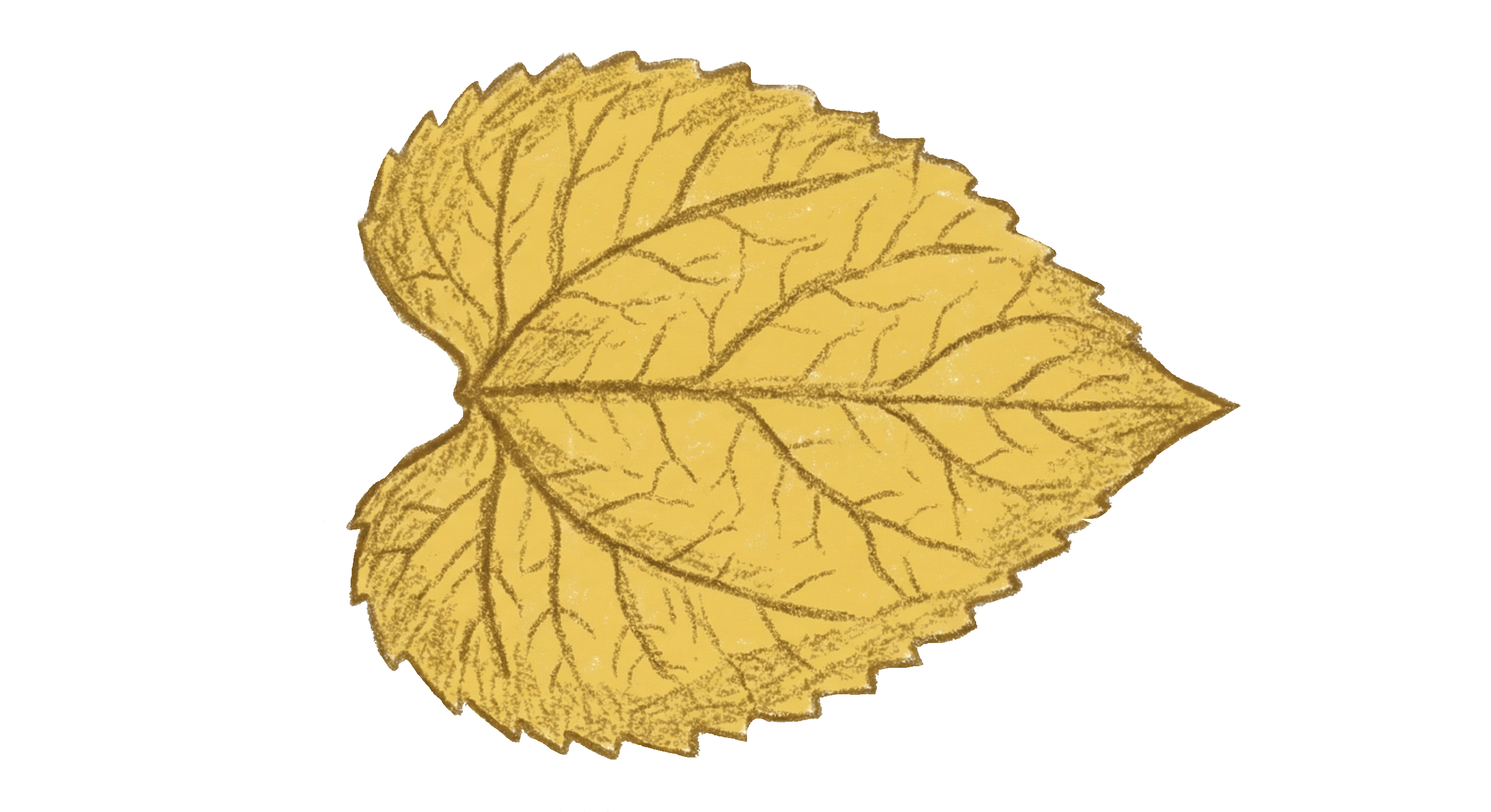 Petal